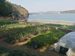 -天目湖山水园