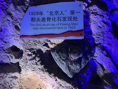 -周口店北京人遗址公园