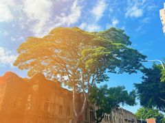 -三坊七巷历史文化街区