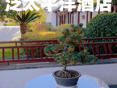-苏州吴宫泛太平洋酒店