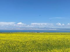 -青海湖国家重点风景名胜区