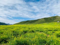 -扁都口生态休闲旅游区