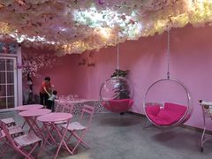 -pink baby·新晋网红打卡地