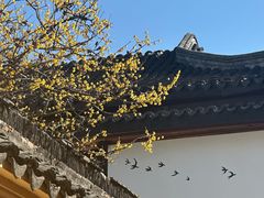 -无锡梅园公园