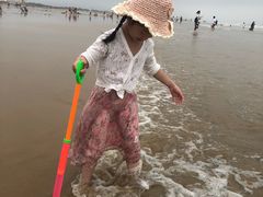 -日照海滨国家森林公园