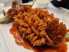 -洋洋中餐馆·SINCE 1997(信投店)