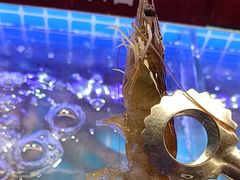 -四囍码头海鲜烧烤自助火锅(外滩南京东路悦荟广场店)