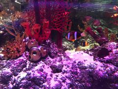 -沈阳海洋探索中心