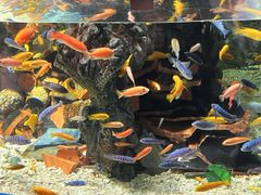 -太平洋海底世界