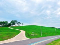 -白鹭湾湿地公园