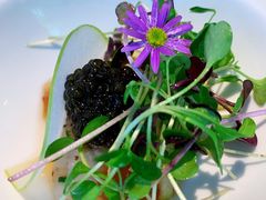 冰岛海鳌虾塔塔-蝶舍·MAISON PAPILLON