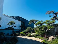 -罗红摄影艺术馆