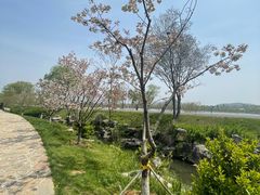 -羊山湖公园