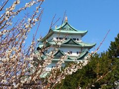 -名古屋城
