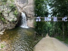 -洛阳白云山景区