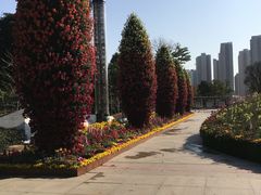 -文华公园(禅城区)