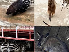 -呀诺达热带雨林