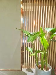 -FineYoga梵音瑜伽·普拉提