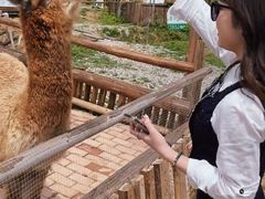 -青瓦房古村落