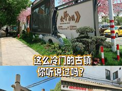 -金泽古镇
