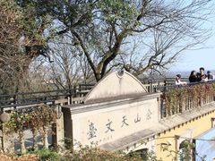 -上海佘山国家森林公园西佘山园