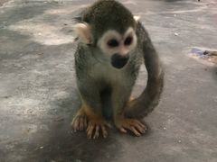 -西安秦岭野生动物园