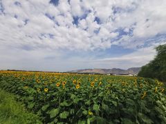 -亿利库布其七星湖沙漠生态旅游区