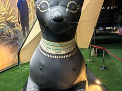 -西安电影制片厂