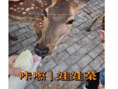 -中华郡文化旅游景区