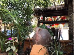 -园林美食城·本土农家菜(杨和镇店)