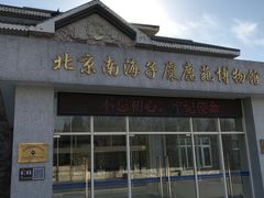 -北京麋鹿生态实验中心