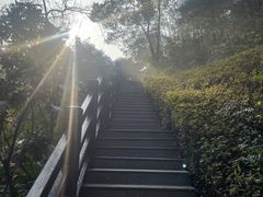 -桃花岭景区