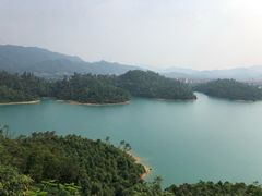 -大赤坎肥仔强烧味海鲜餐厅(大赤坎店)