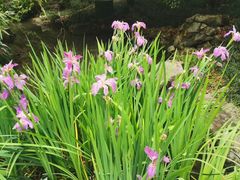 -一江春水·杭帮臻宴(三台山店)