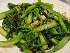 -新蜀会四川豆花(五羊店)