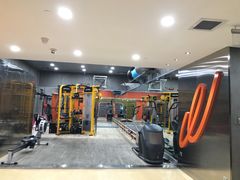 -健身专家Wellness Experts