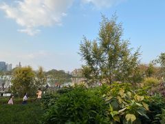 -顺峰山公园