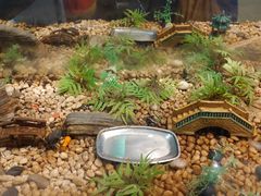 -上海昆虫博物馆