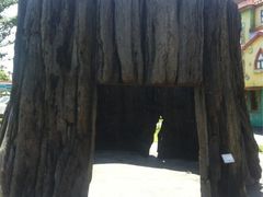 iphone_upload_pic-信不信由你博物馆