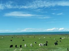 -青海湖国家重点风景名胜区