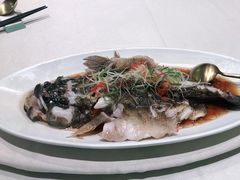 笋壳鱼-蝶园·装修中(BFC外滩金融中心店)