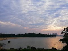 -瑶湖郊野森林公园