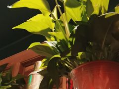-小吊梨汤·北京菜·烤鸭(长安商场-首都博物馆店)