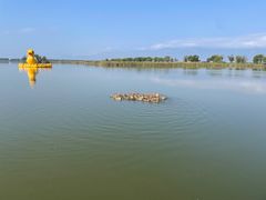 -野鸭湖国家湿地公园