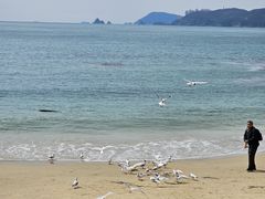 -海云台海滩