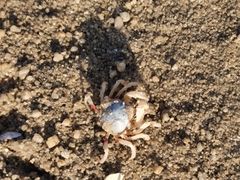 -北海金海湾红树林生态旅游区