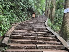 -青城山