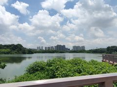 -广东花都湖国家湿地公园