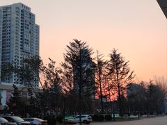 -山东大学(威海校区)