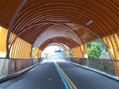 -史努比缤纷世界